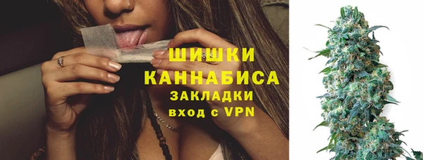 индика Новокубанск