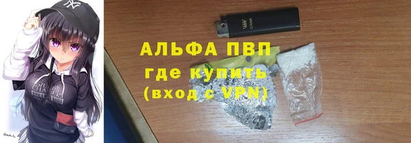 индика Новокубанск