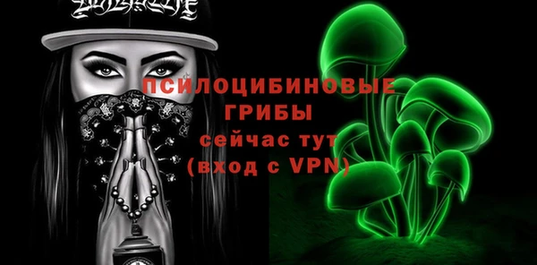 индика Новокубанск