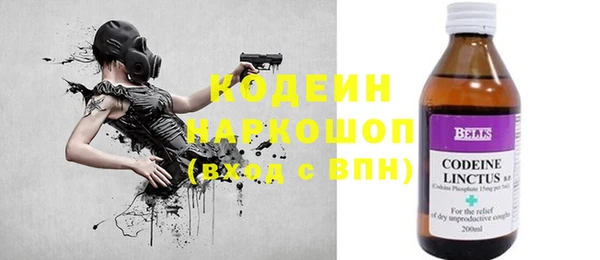 индика Новокубанск