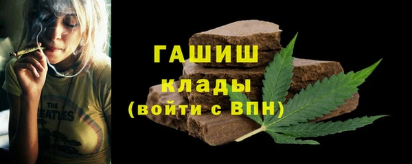 индика Новокубанск