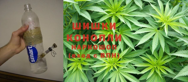 индика Новокубанск