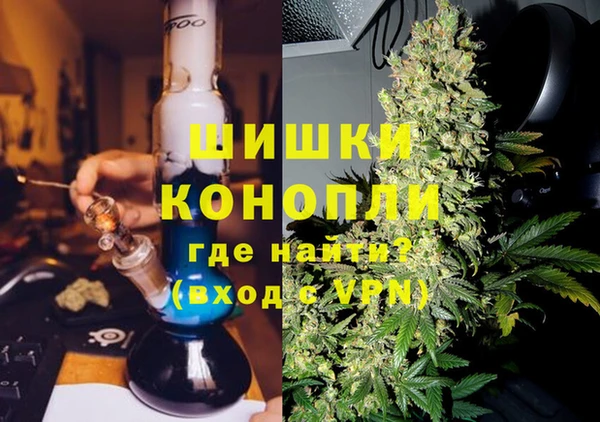 индика Новокубанск